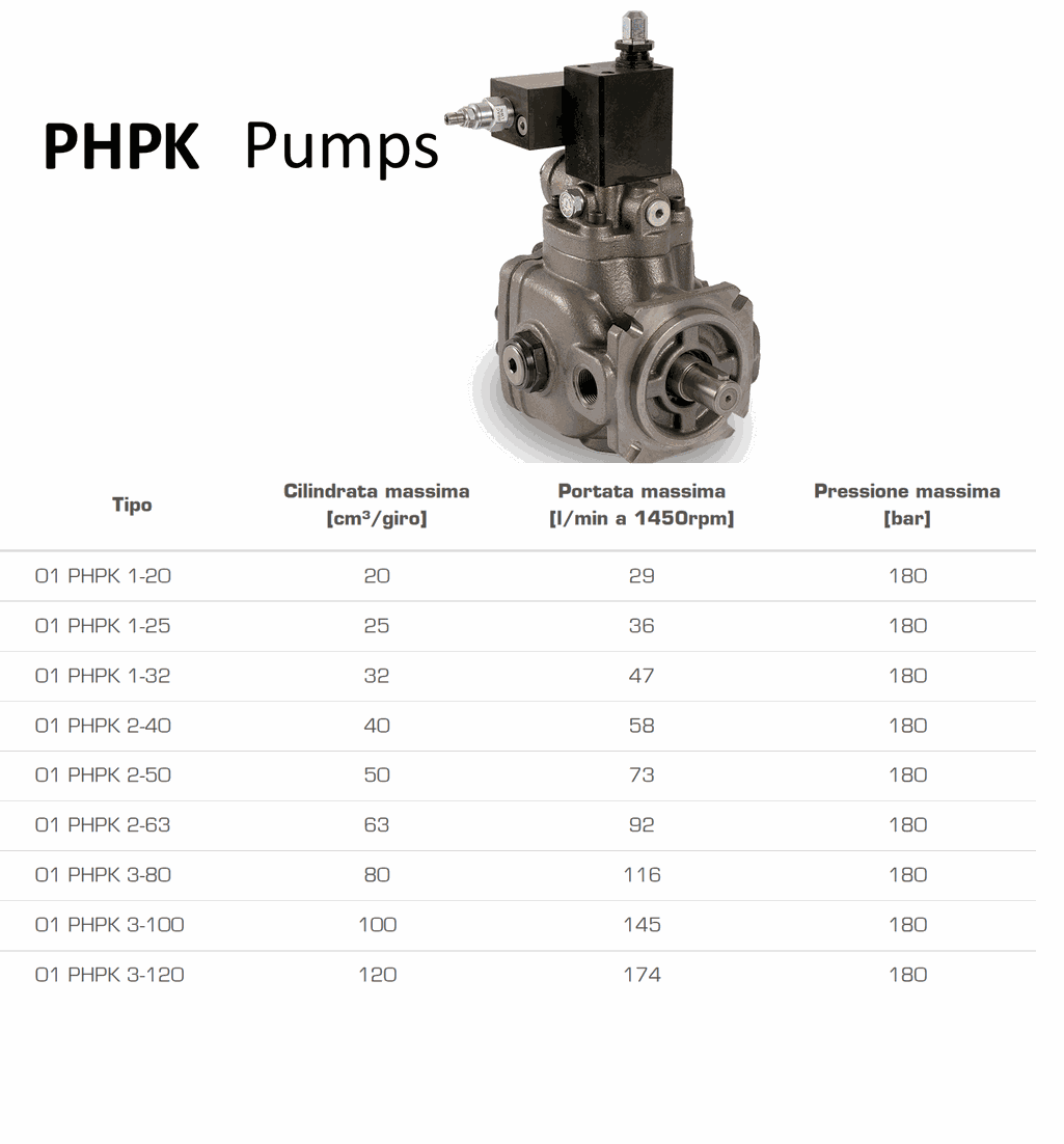 Berarma Vane pumps selection